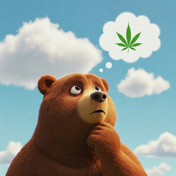 Cannabis & Anxiety: Can It Help or Hurt?