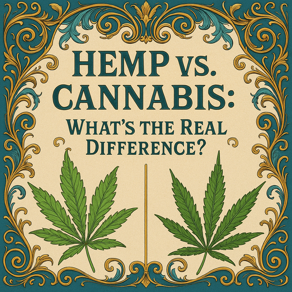 Hemp vs. Cannabis: What’s the Real Difference?