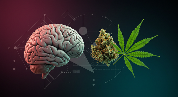 Cannabis & Creativity: Fuel for the Imagination?