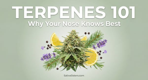 Terpenes 101: Why Your Nose Knows Best